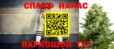 СК Донской