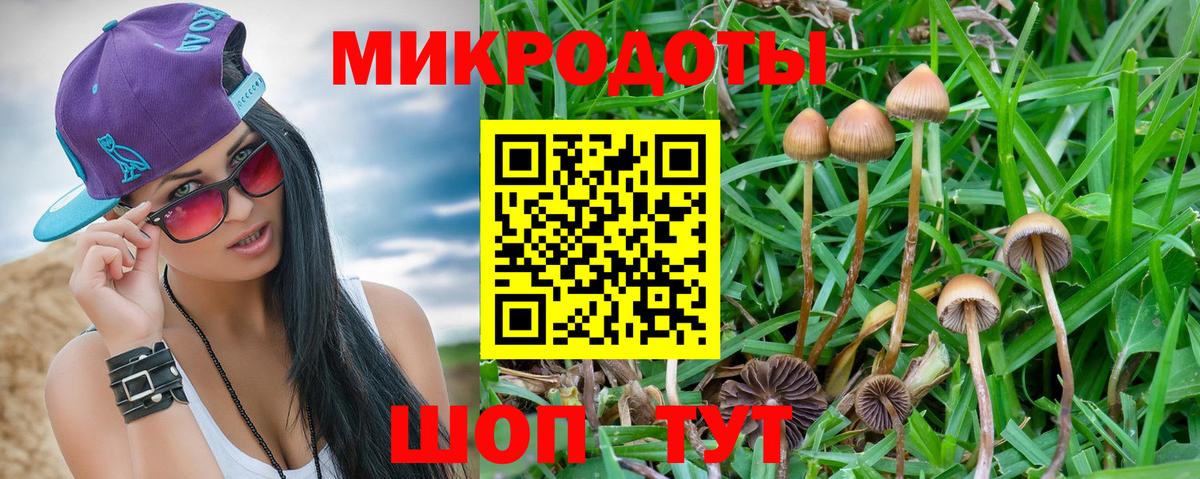 Галлюциногенные грибы GOLDEN TEACHER Лянтор